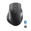ISY Dual-Mode 2.4 Ghz & Bluetooth Wireless Mouse